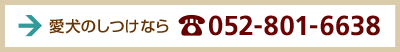愛犬のしつけなら:052-801-6638